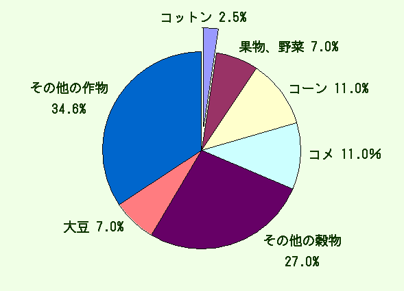 コットンと環境